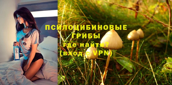 спайс Алексин