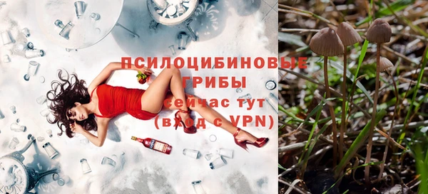ПСИЛОЦИБИНОВЫЕ ГРИБЫ Алексеевка