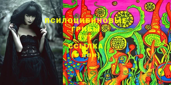ПСИЛОЦИБИНОВЫЕ ГРИБЫ Алексеевка