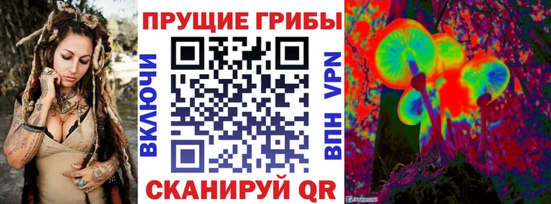 продажа наркотиков  Фатеж  Псилоцибиновые грибы прущие грибы 